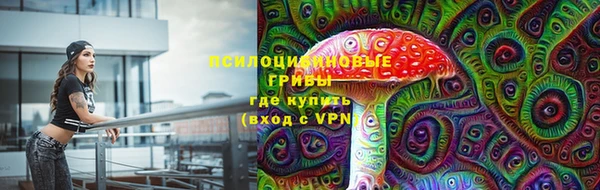 мяу мяу мука Арсеньев