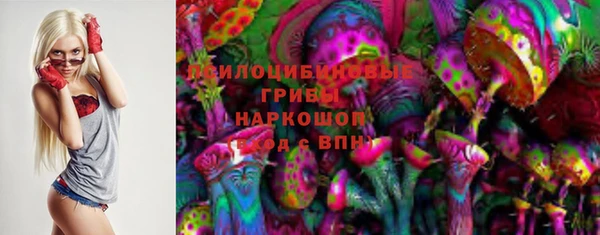 СК Аркадак