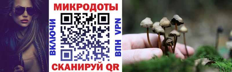 Псилоцибиновые грибы Psilocybe  кракен как войти  Сафоново 
